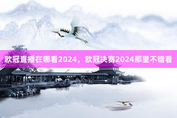 欧冠直播在哪看2024，欧冠决赛2024那里不错看