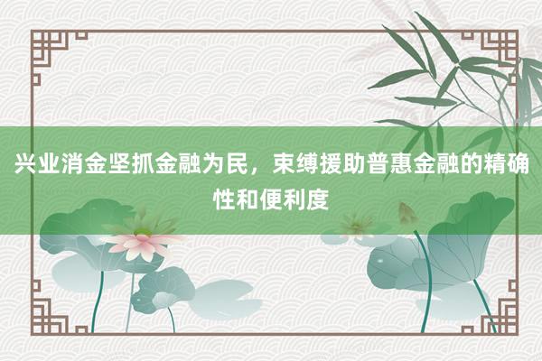 兴业消金坚抓金融为民，束缚援助普惠金融的精确性和便利度